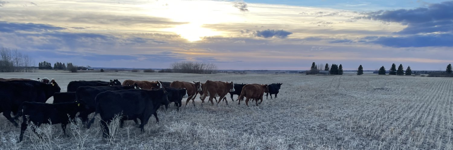 Crookedlakecows's profile banner image
