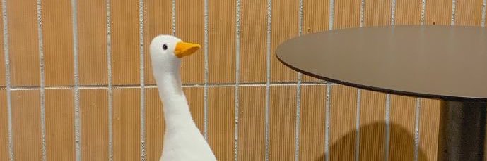 eewap_'s profile banner image