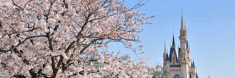 nobsan720's profile banner image