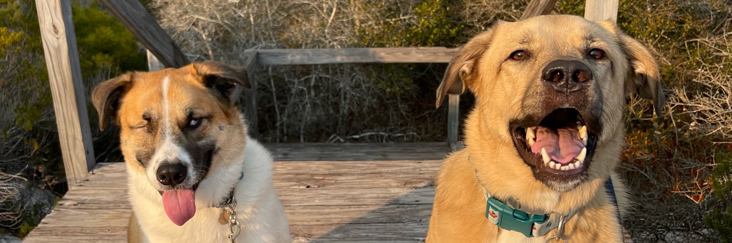 brandiivanover's profile banner image