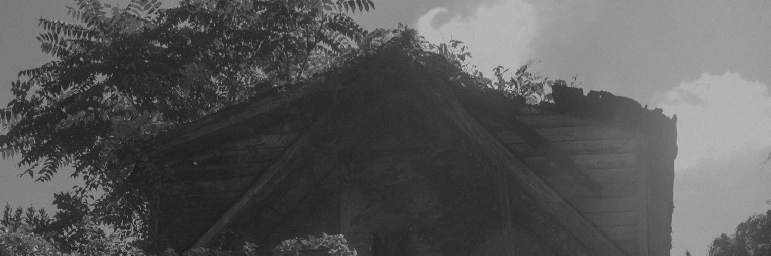 shelb 🥀 banner