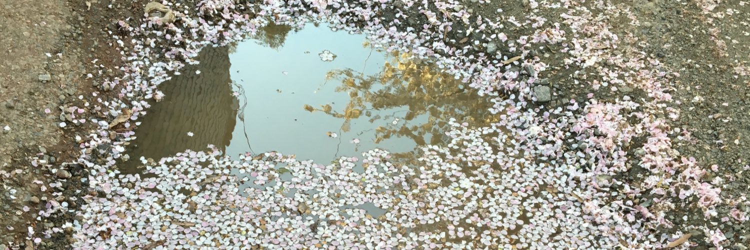 rbblizard's profile banner image