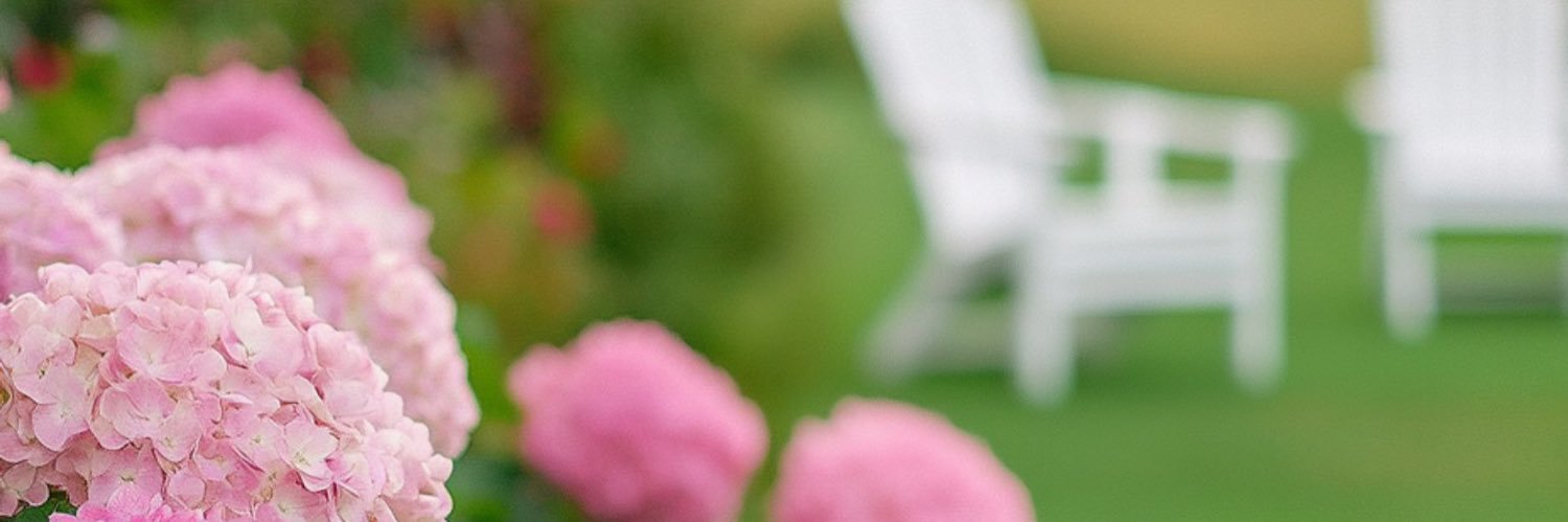 Enlatorre1203's profile banner image