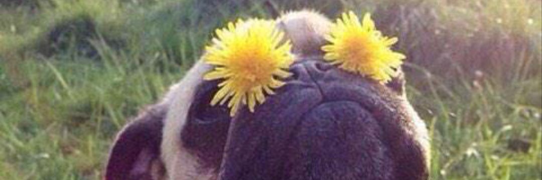 Jhubi_22's profile banner image