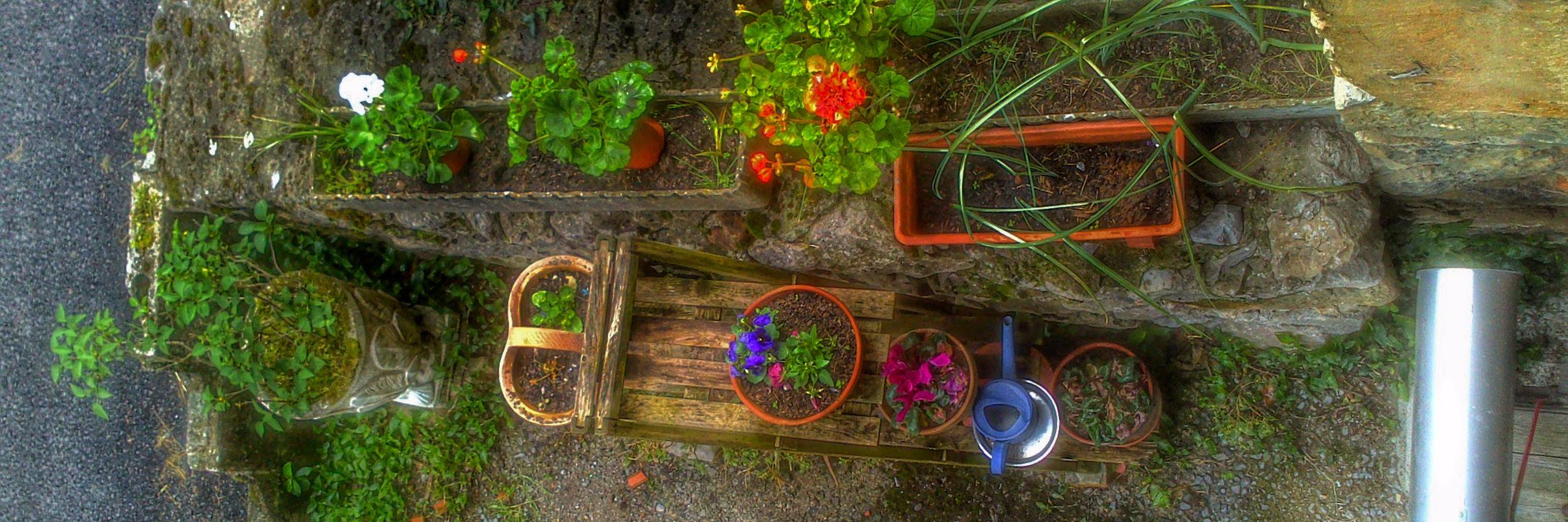 German Tabuyo banner