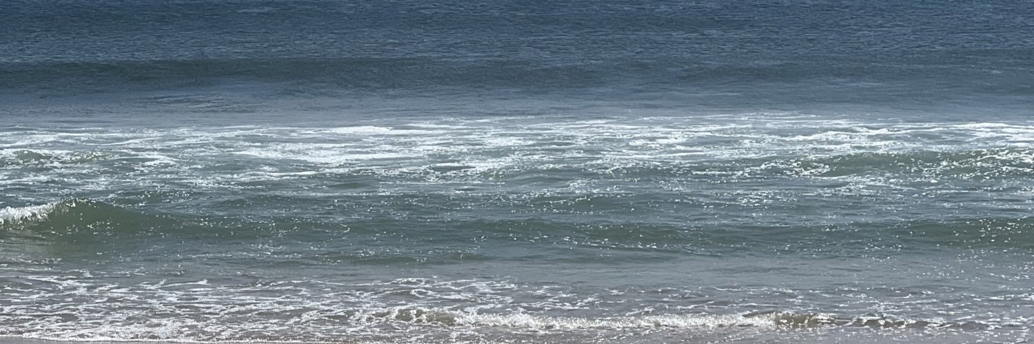GuyFridayDC's profile banner image