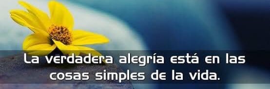nena_afhh's profile banner image