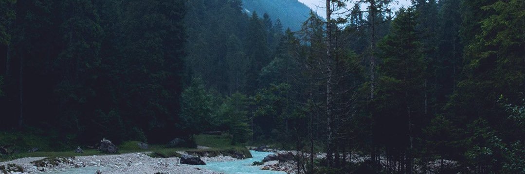 TylerDiebold's profile banner image
