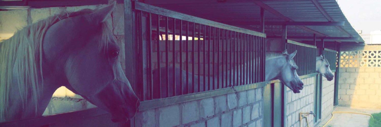 AlZhMOL's profile banner image