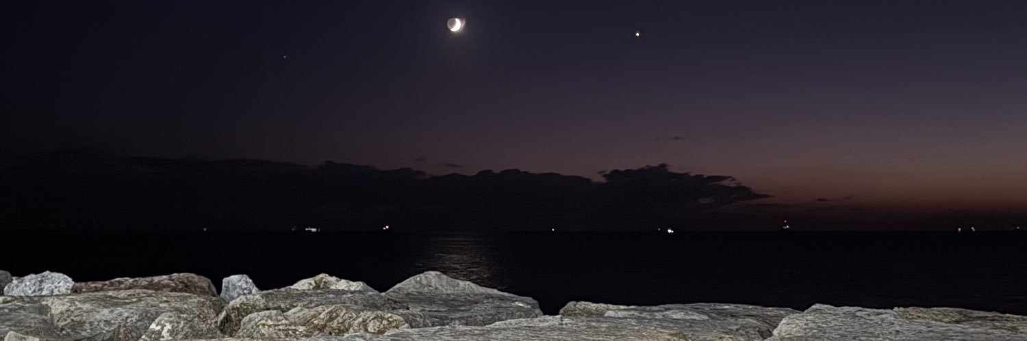 Fox on fire / Лис в огне banner