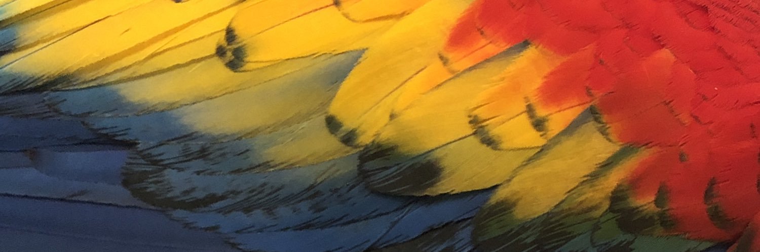 Waddlemaster's profile banner image
