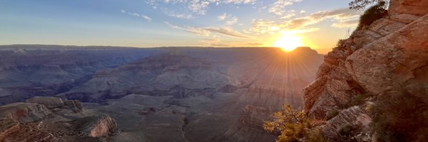 GoldenGerhard Profile Banner