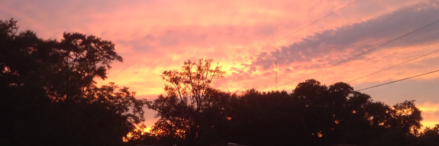 FerdieSue's profile banner image