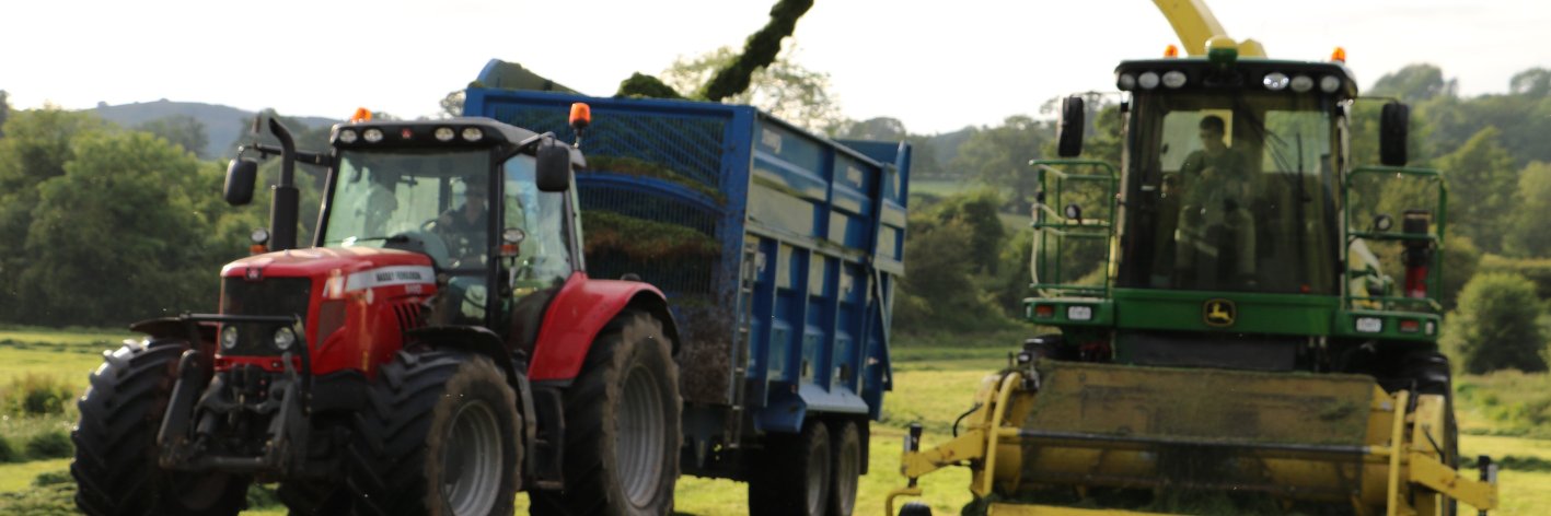 LowerWoodFarm's profile banner image