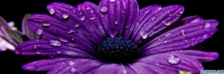 heida_84's profile banner image