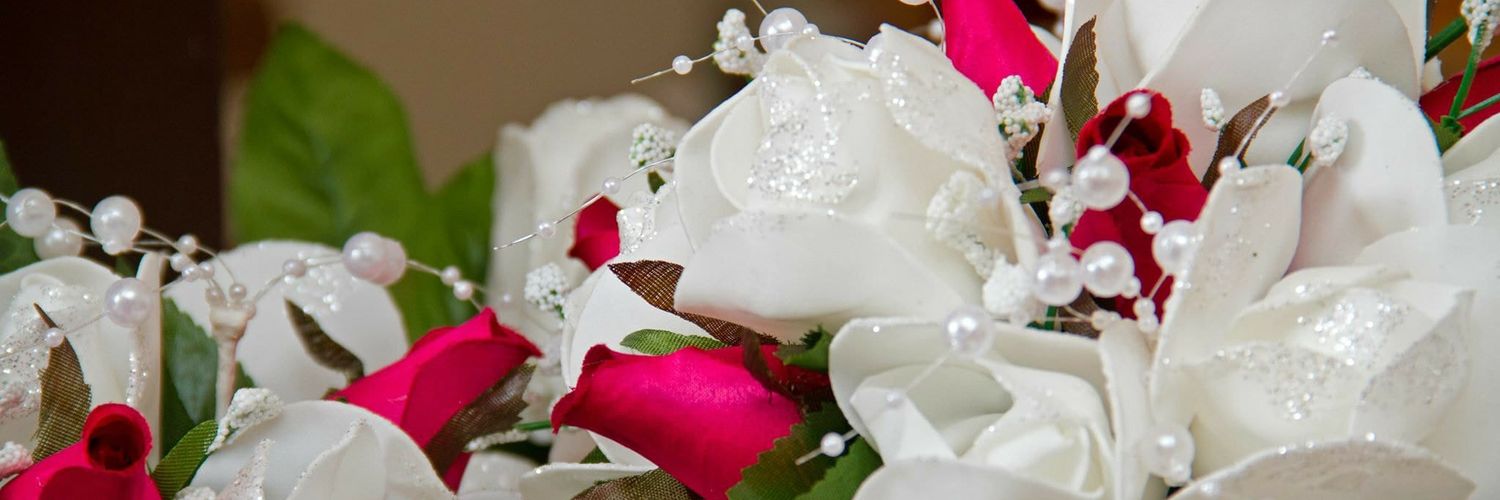 AynsleyN's profile banner image