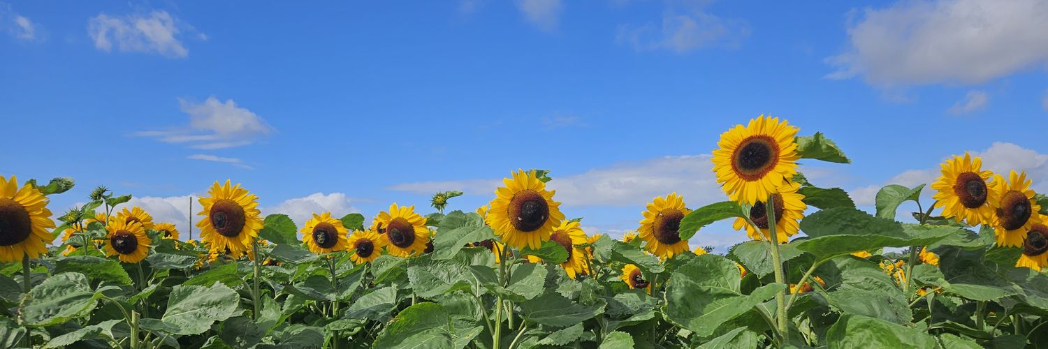 kellielouise46's profile banner image