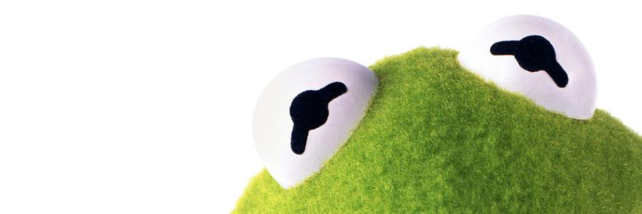 OBMkermit's profile banner image