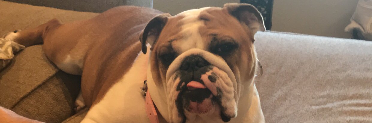 TaylorLud's profile banner image