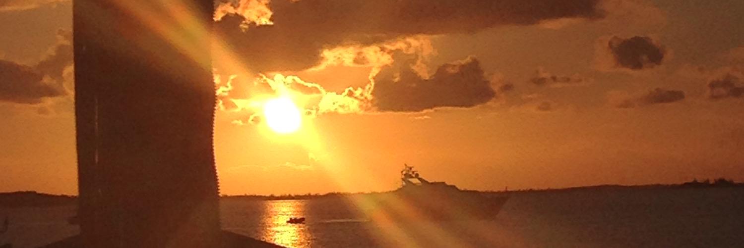susanmichellen's profile banner image