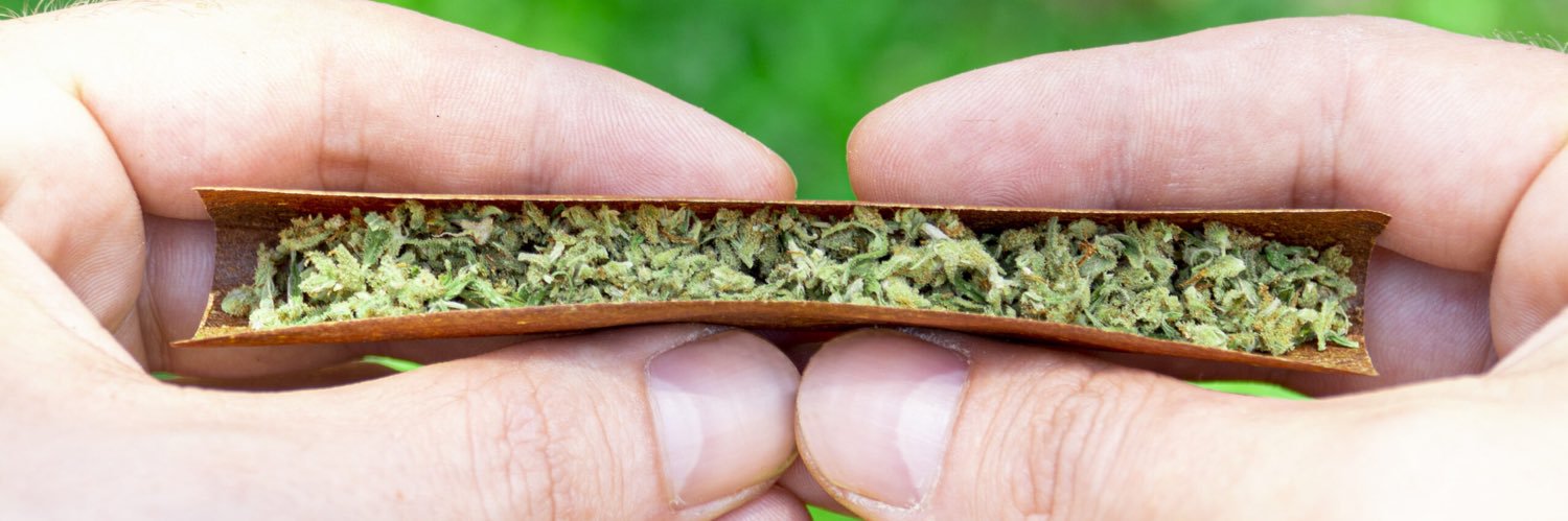 The Daily Blunt's banner