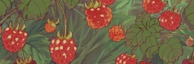 headsuphailey's profile banner image