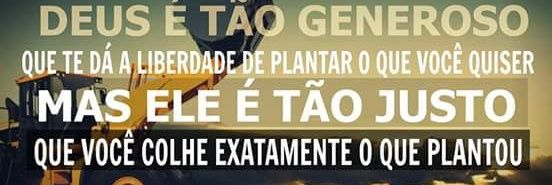 carmem_dep's profile banner image