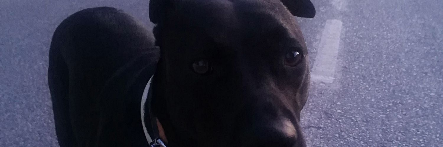 Er Comilsito. banner