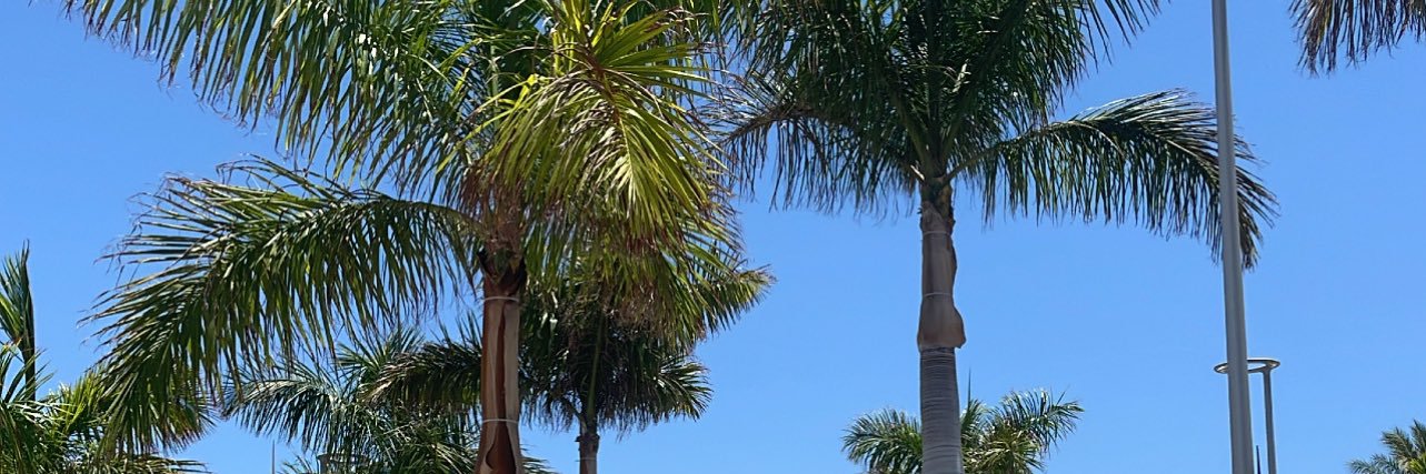 MollyNichollss's profile banner image