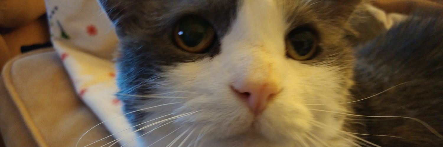 mjfergus's profile banner image