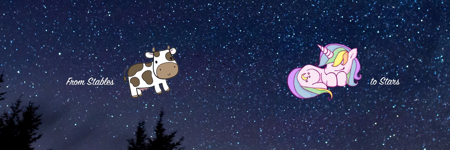 saracoccorullo's profile banner image