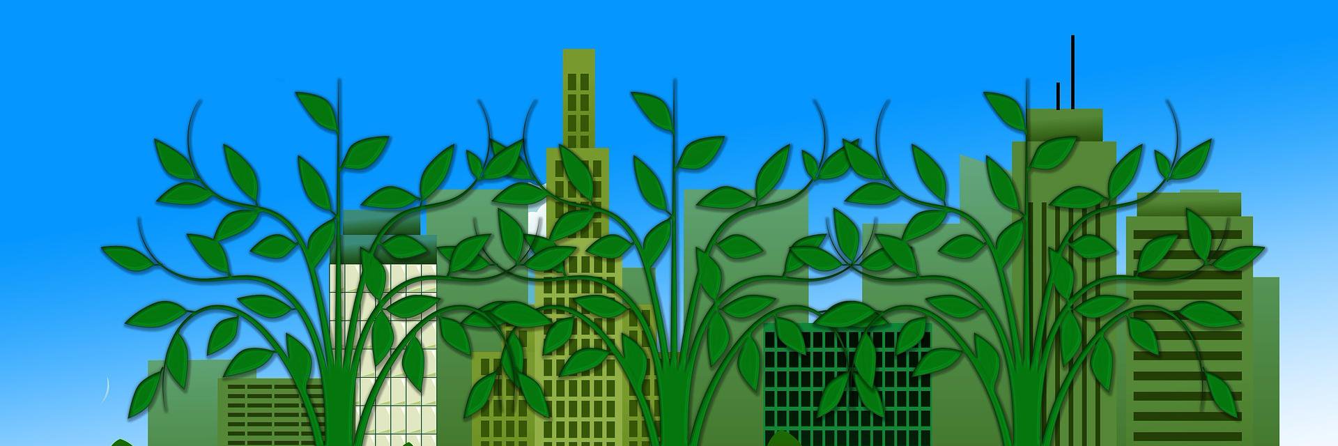 PagineGreen's profile banner image