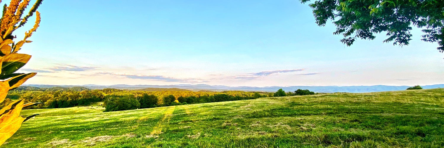 Mickey Trivett banner