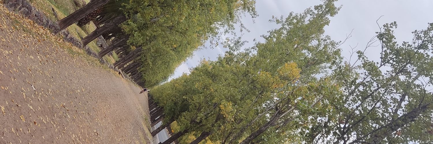 victoradolfo7's profile banner image