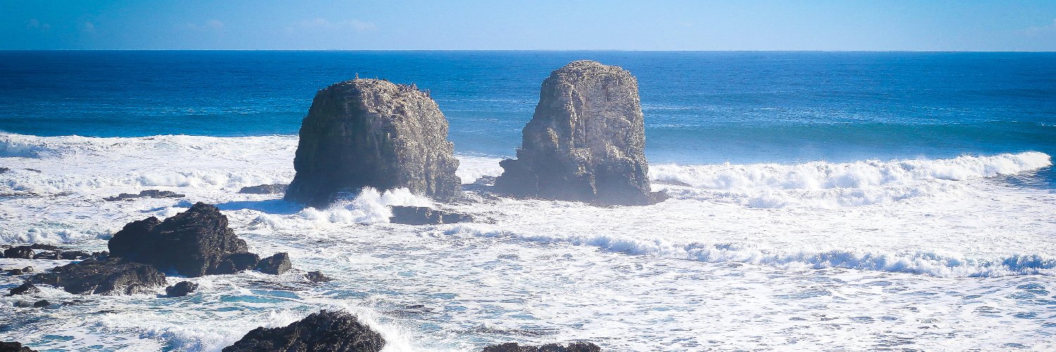 Pan American Surf banner