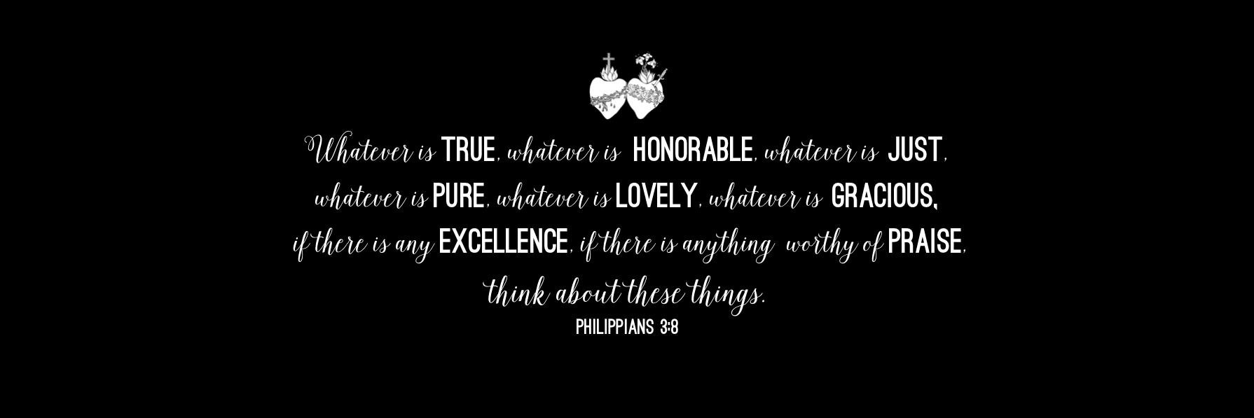 catholic_box's profile banner image