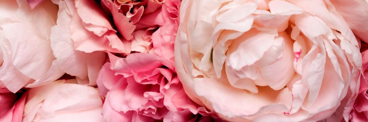 EstefPerez7's profile banner image