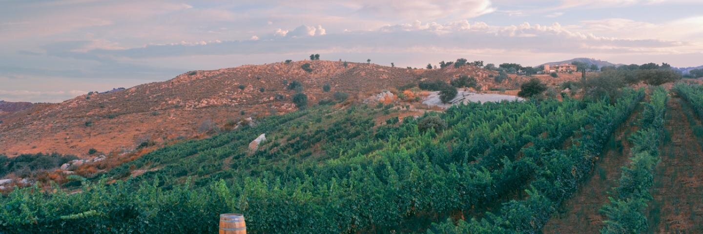 MilagroVineyard's profile banner image