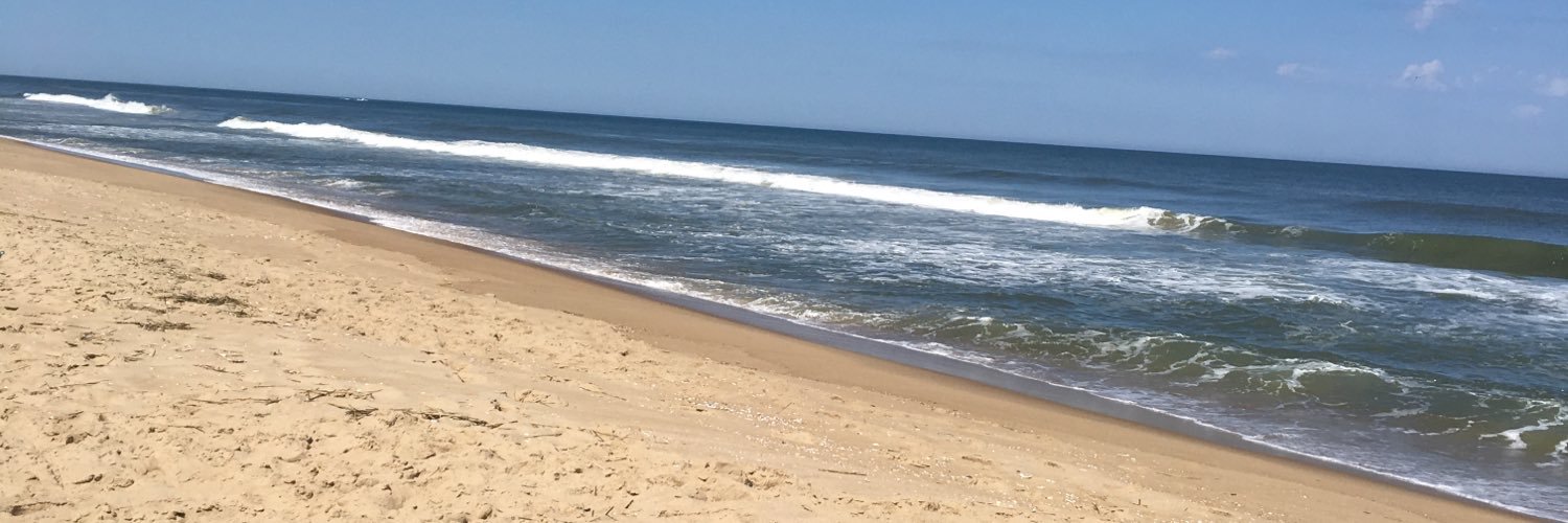 DianeB ☮️ banner