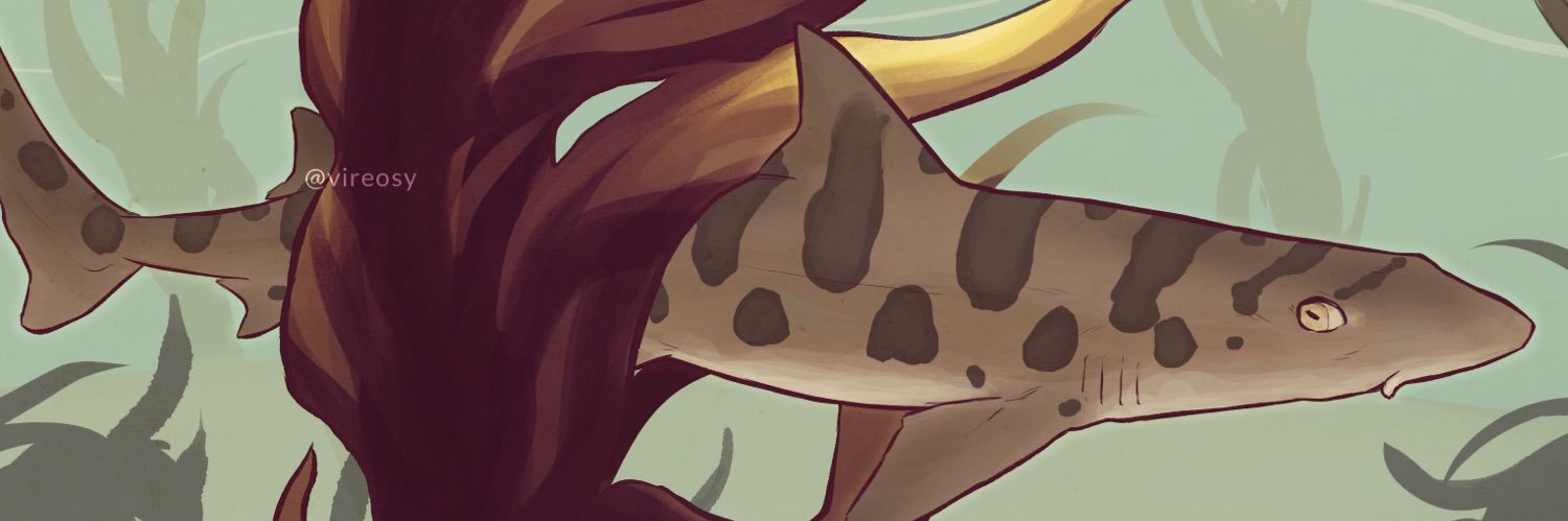 Emil L’Amour | vireosy.bsky.social banner