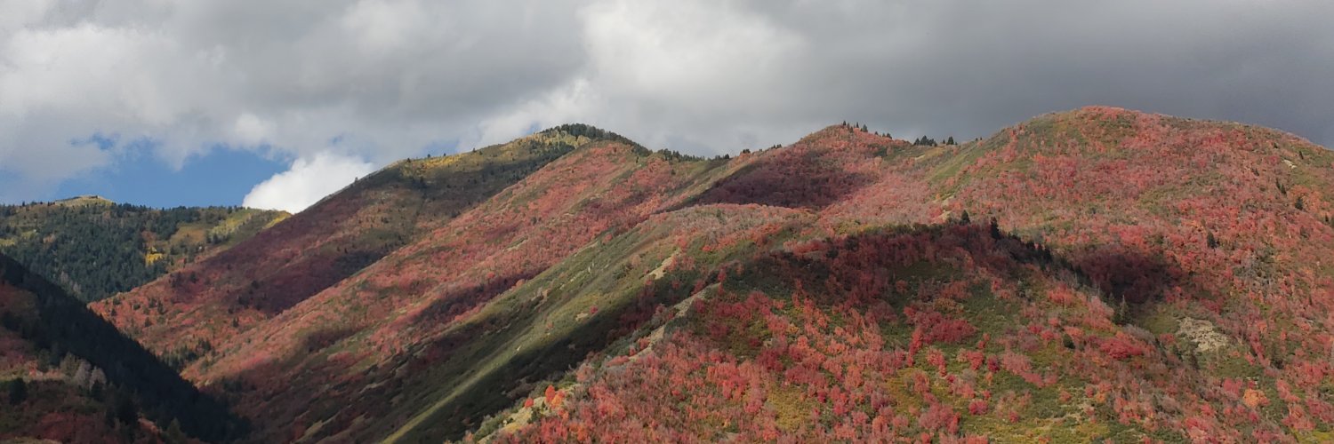 blanding31's profile banner image