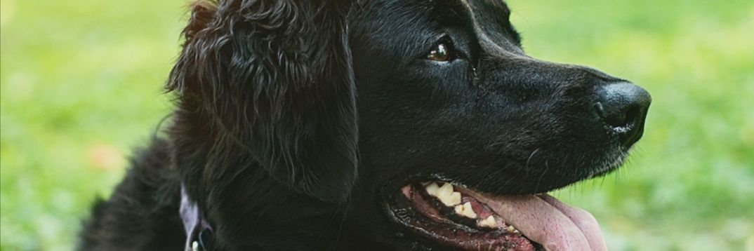 ChoochieMAC23's profile banner image