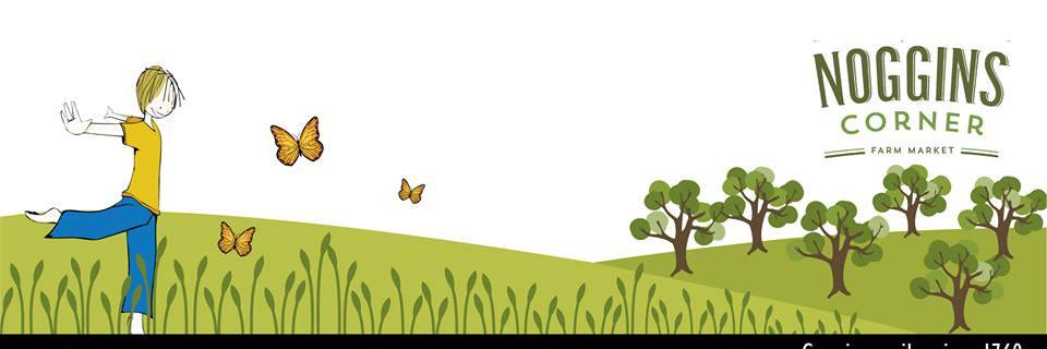 nogginsfarm's profile banner image