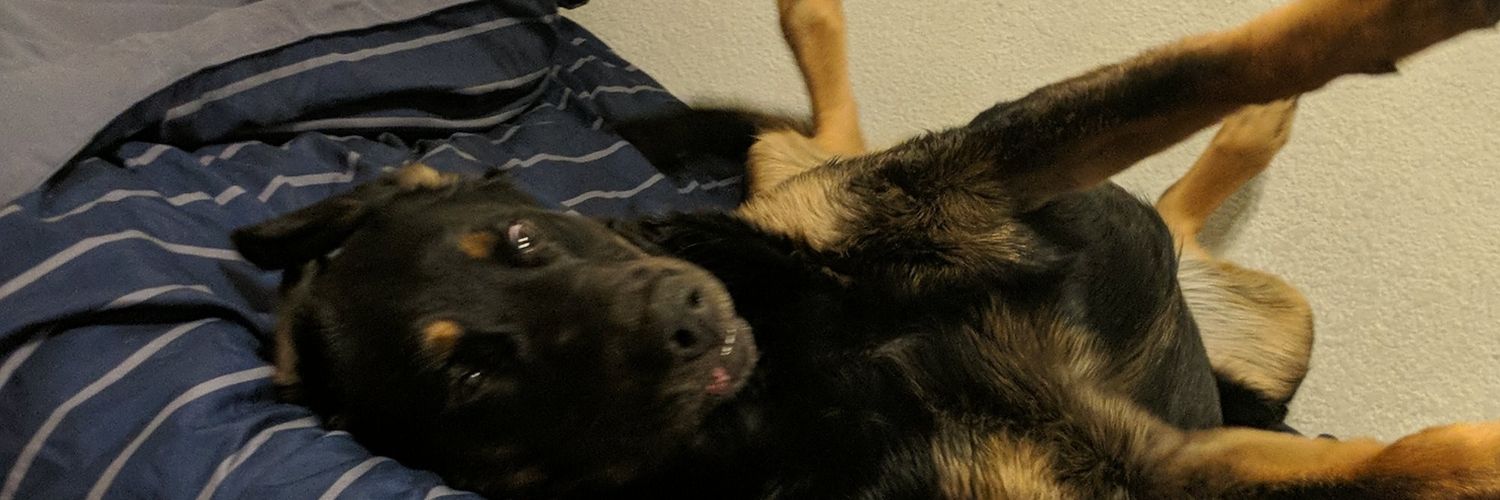 Corndog__'s profile banner image
