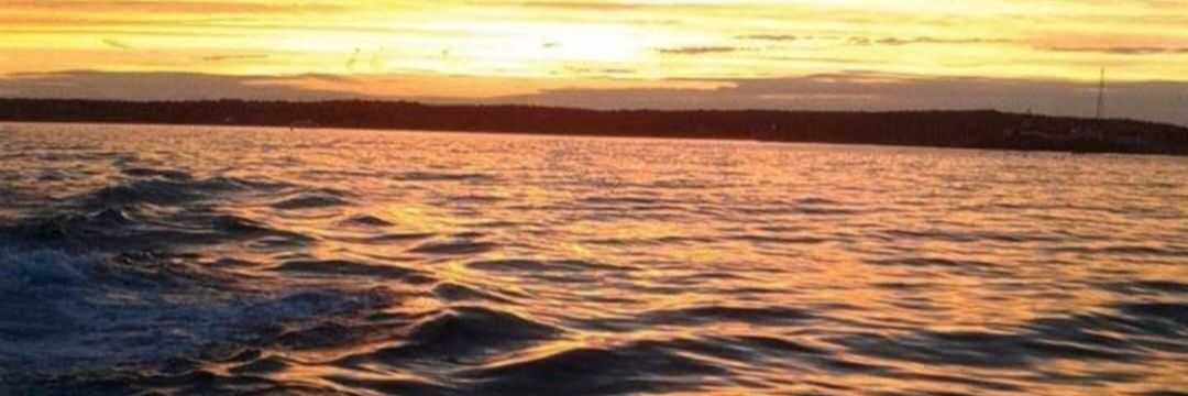 Stephy_Monster's profile banner image