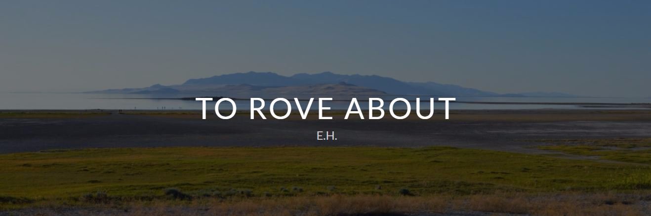 ToRoveAbout's profile banner image