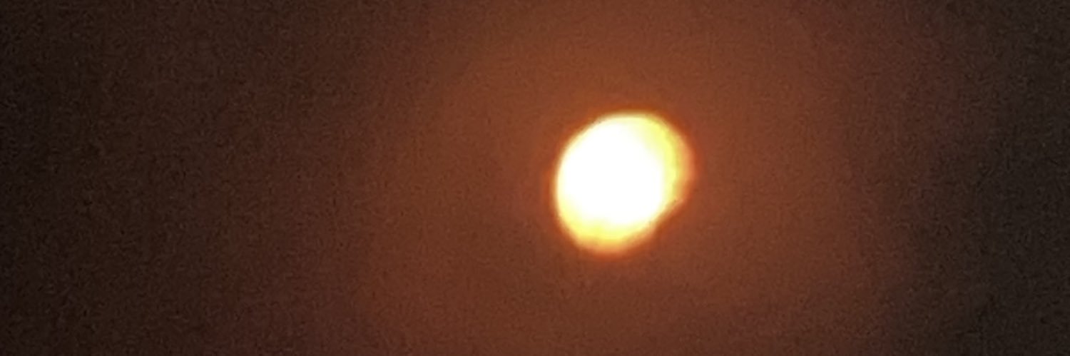 lonestarwayne's profile banner image