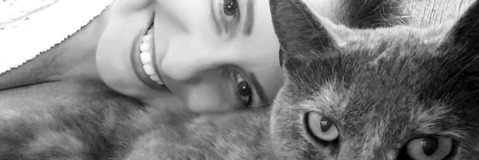 Cris_Nicoletti's profile banner image