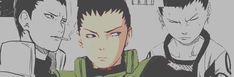spoopy_kitty's profile banner image