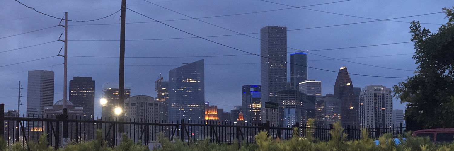 Abbey Bachmann banner